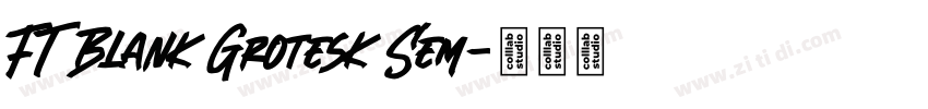 FT Blank Grotesk Sem字体转换